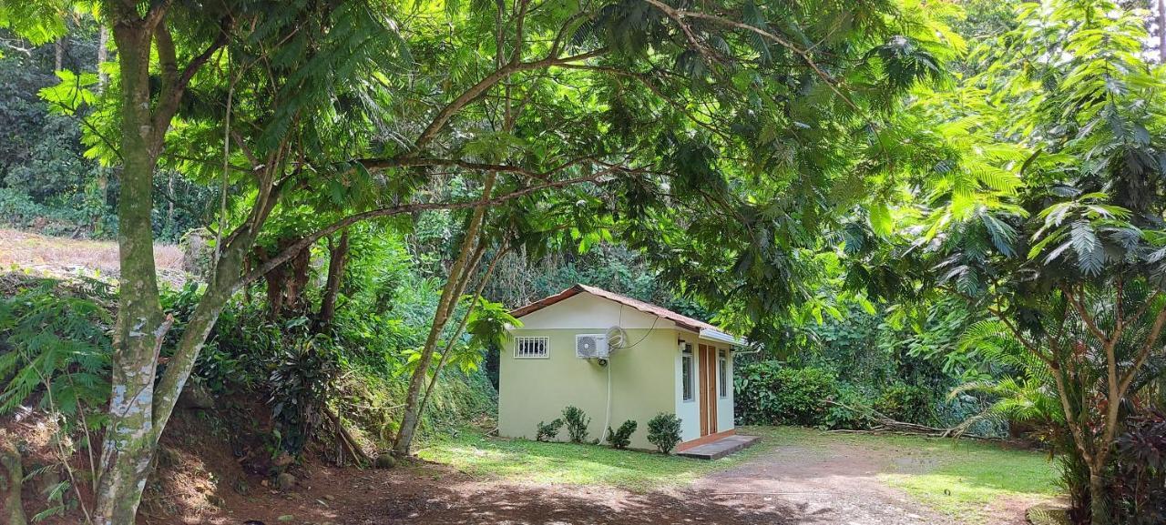 Hostal Y Cabinas Anita-And Rafting Tour! Siqurres Da Alegria Exterior photo