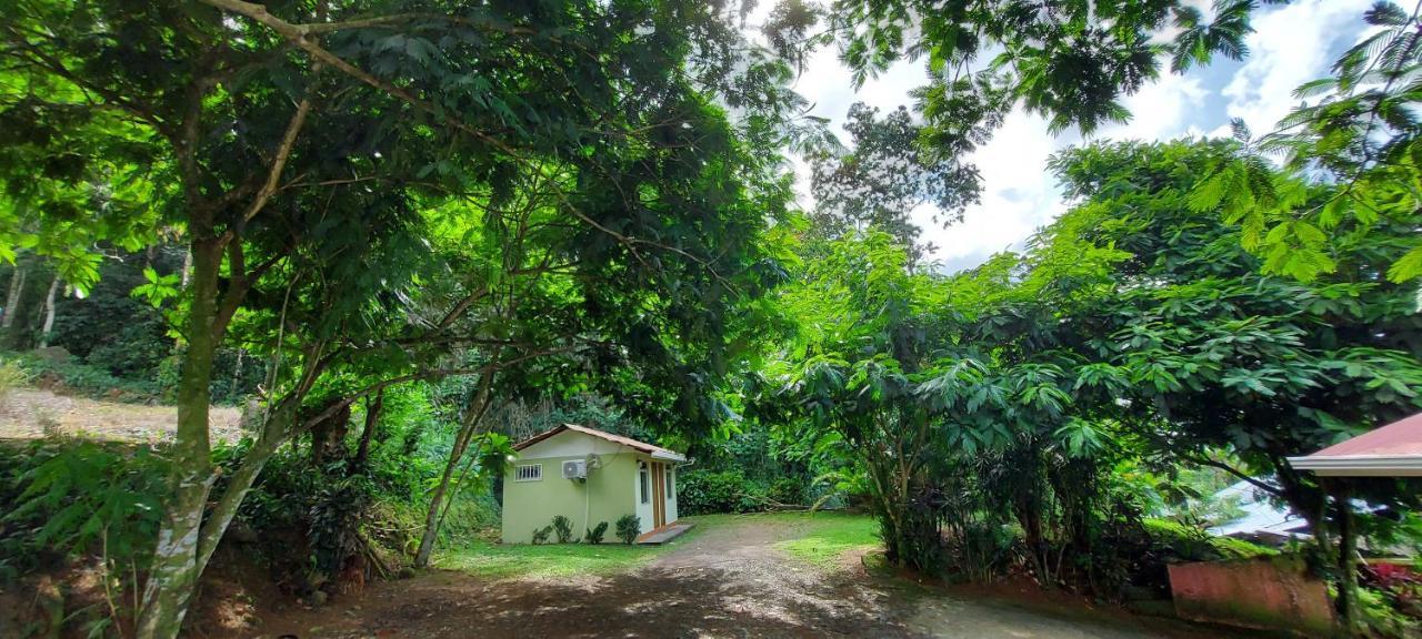 Hostal Y Cabinas Anita-And Rafting Tour! Siqurres Da Alegria Exterior photo