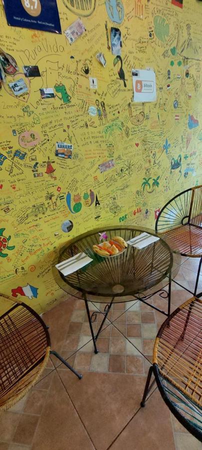 Hostal Y Cabinas Anita-And Rafting Tour! Siqurres Da Alegria Exterior photo